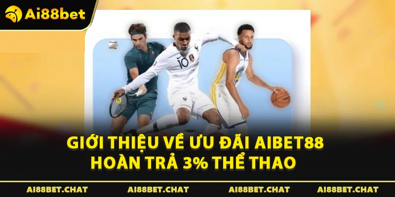 Giới thiệu về ưu đãi Aibet88 hoàn trả 3% thể thao